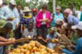 Ghana Agriculture Deputy Secretary Krysta Harden examines cocoa pods alongside rural workers