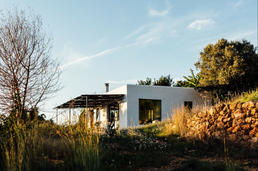 White, cube-like structure with front porch surrounded by plants