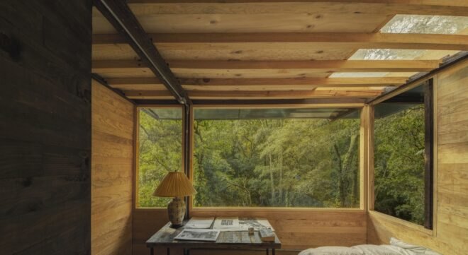 interior of treehouse with wood ceiling and skylights