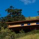 long wood home surrounded by greenery