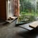 room with indoor pond