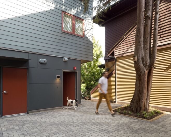 person walking dog beside a tree and gray building
