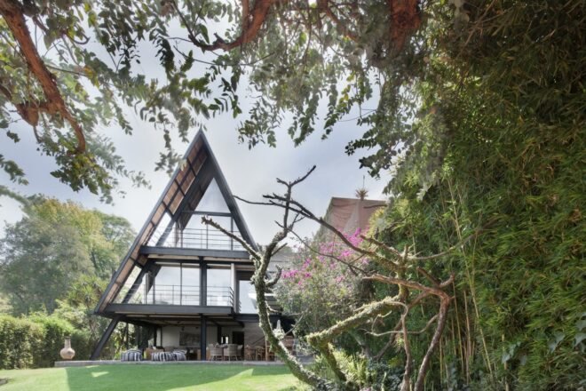 black A-frame home with glass walls in background and tree in foreground