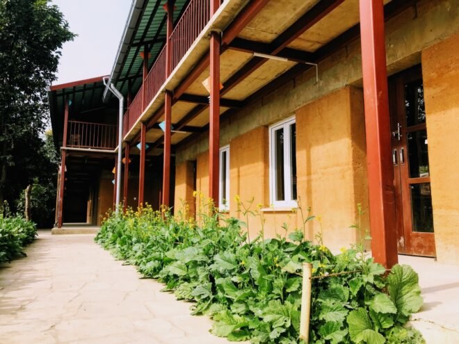 green plants growing beside a school