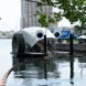 trash collecting machine on water