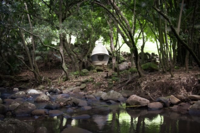 large tent near a stream in a forest