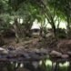 large tent near a stream in a forest