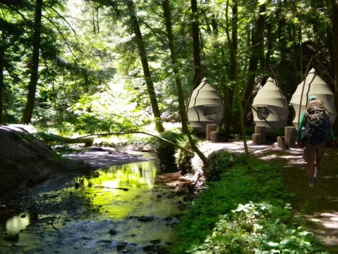 person hiking toward series of white, cocoon-shaped tents in a forest