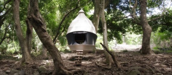 cocoon-shaped tent in a forest