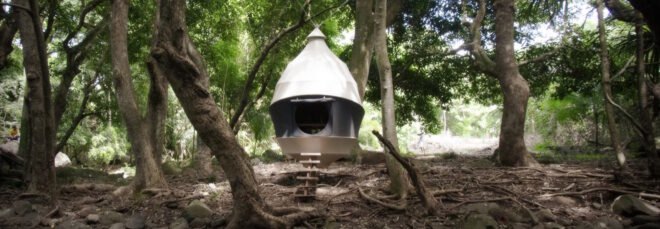 cocoon-shaped tent in a forest