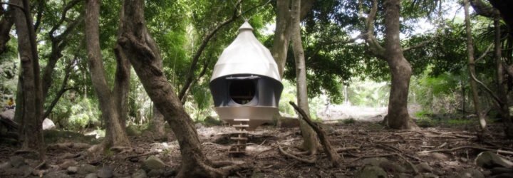 cocoon-shaped tent in a forest