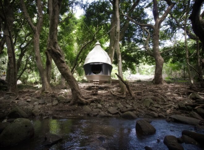 cocoon-shaped tent in a forest