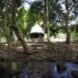 cocoon-shaped tent in a forest