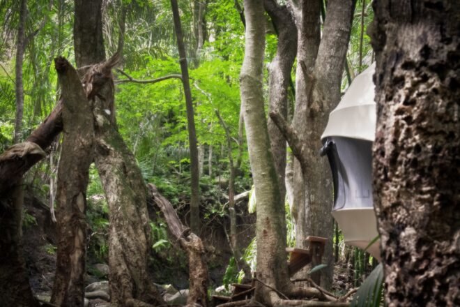 cocoon-shaped tent in a forest