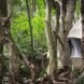 cocoon-shaped tent in a forest