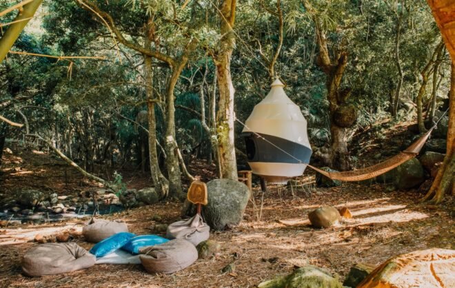bean bags and hammock outside a tent in a forest