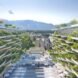rendering of spacious courtyard between two tall plant-covered buildings