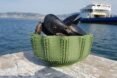 seafood in a green 3D-printed bowl perched on wood table by the sea