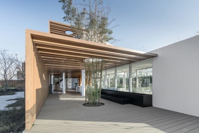 wood patio with trees growing in the center