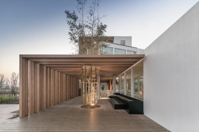 wood deck with trees growing in center