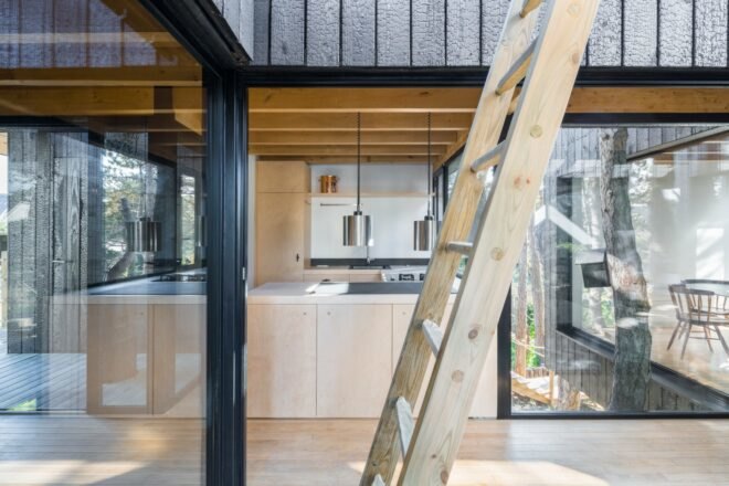 wooden ladder leading to roof of black timber home