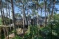 black timber home behind large pine trees