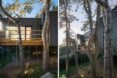 trees surrounding a black timber home