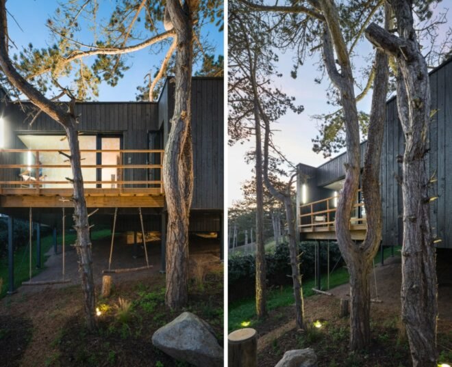 trees surrounding a black timber home