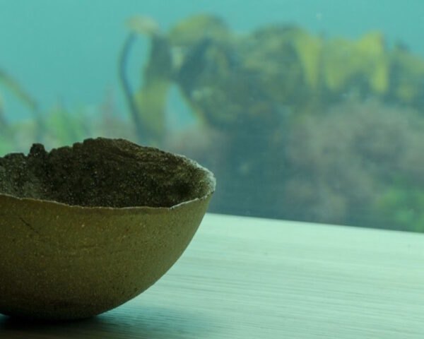 handmade bowl beside window with views of under the sea