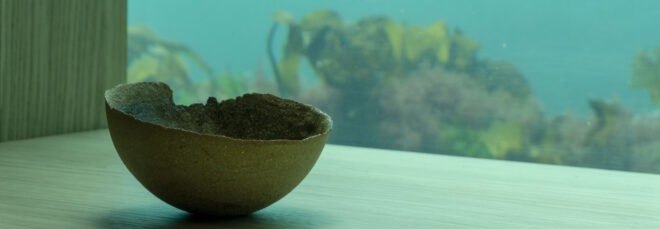 handmade bowl beside window with views of under the sea