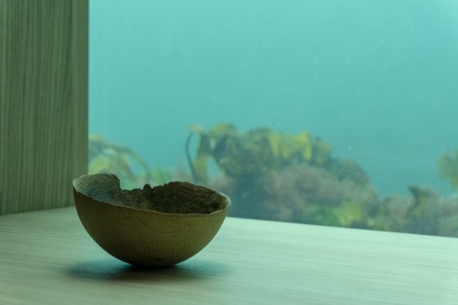 handmade bowl beside window with views of under the sea