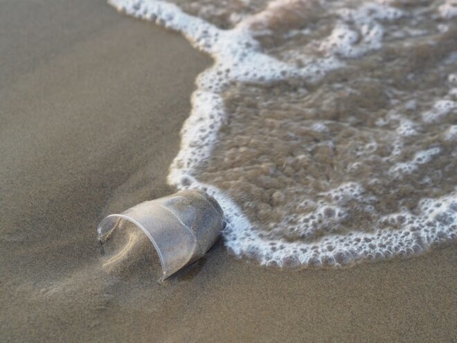 plastic cup on the beach