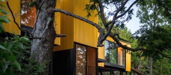 elevated vibrant yellow prefab home surrounded by greenery