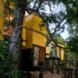 elevated vibrant yellow prefab home surrounded by greenery