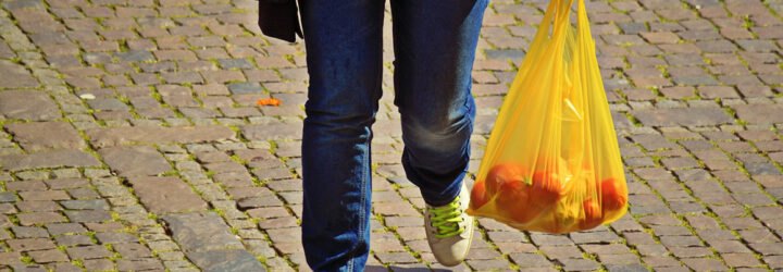 person walking holding a plastic bag with fruit inside