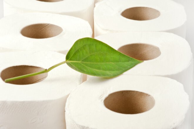 leaf on rolls of toilet paper
