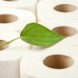 leaf on rolls of toilet paper