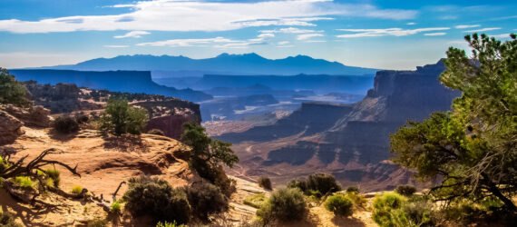 canyons in Canyonlands National Park