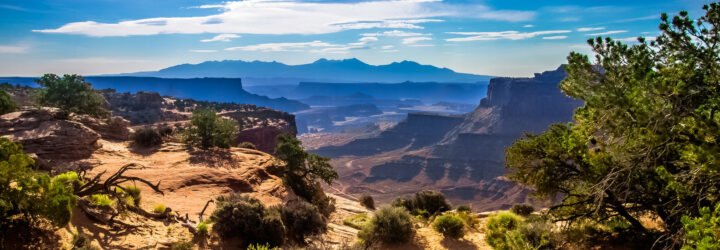 canyons in Canyonlands National Park