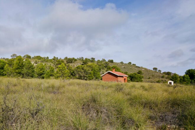 small brick home on grassy lot