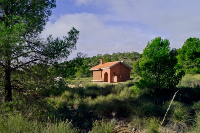 small brick home surrounded by trees