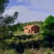 small brick home surrounded by trees