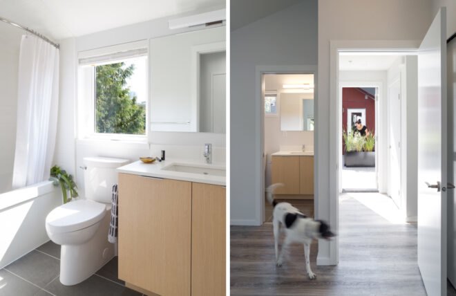 On the left, bathroom with white walls and tan cabinet. On the right, dog walking through a hallway.