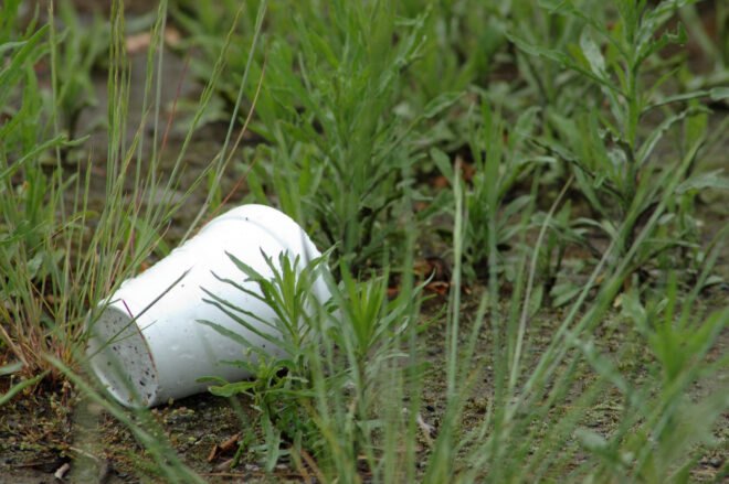 plastic foam cup on grass