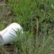 plastic foam cup on grass
