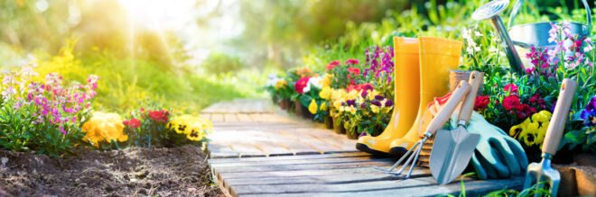 vibrant flowers in spring garden with gardening tools
