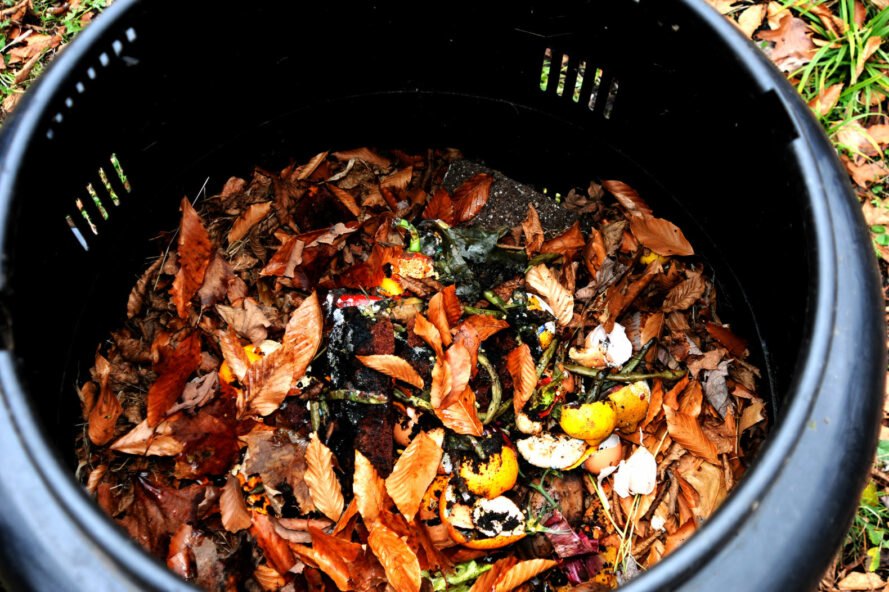 composting bin with dead leaves