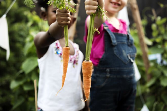 kids holding carrots