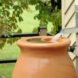 rain coming from spout into a barrel