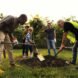 group of people planting a tree